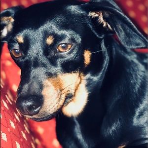 Meet your Posher, Brittany